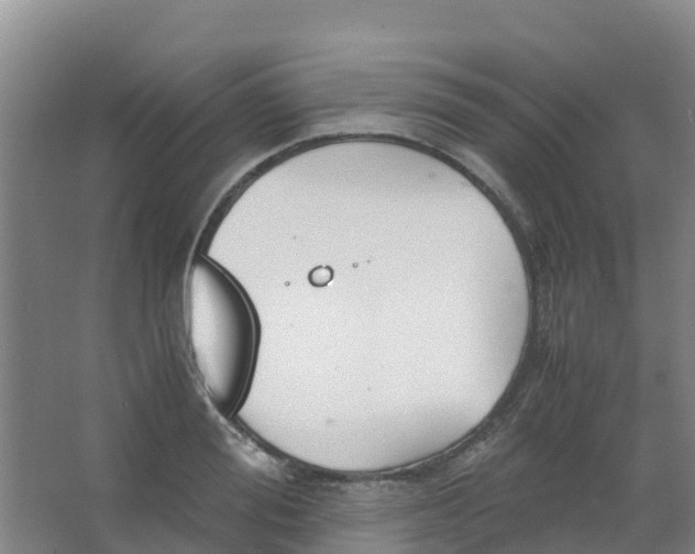 X0000067000988200604142254