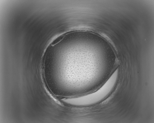 X0000067000989200604142254