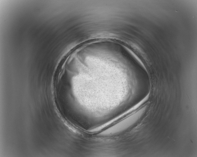 X0000067000990200604142254