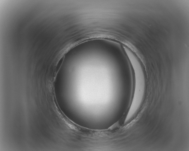 X0000067000993200604142254