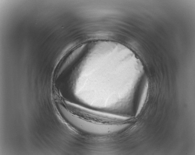 X0000067000994200604142254