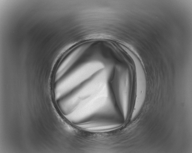 X0000067000995200604142254