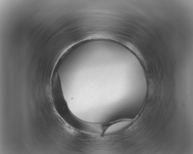 X0000067000996200604142254