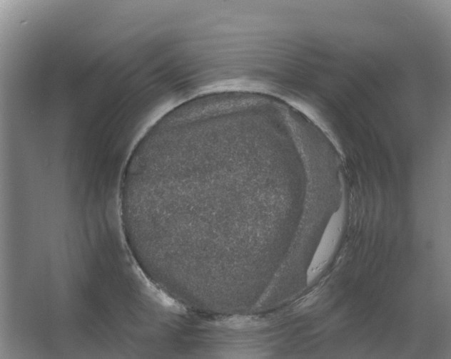 X0000067000998200604142254