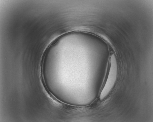 X0000067000999200604142254