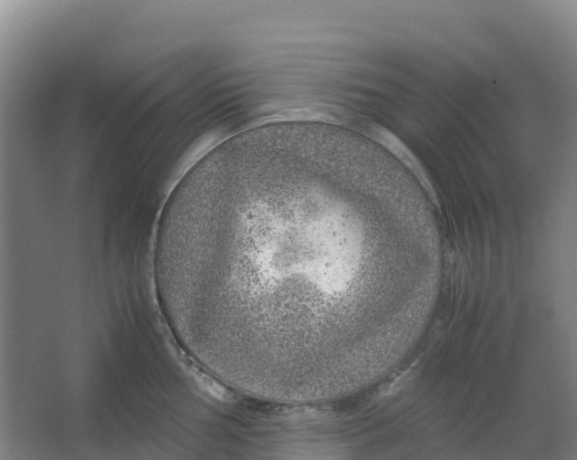 X0000067001002200604142254