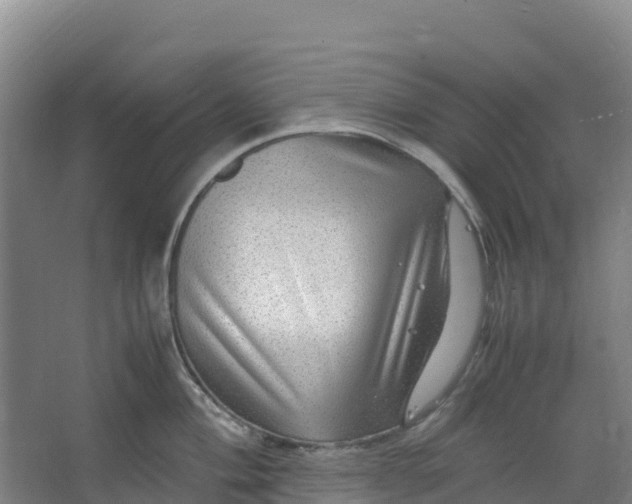 X0000067001004200604142254