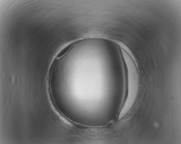 X0000067001005200604142254