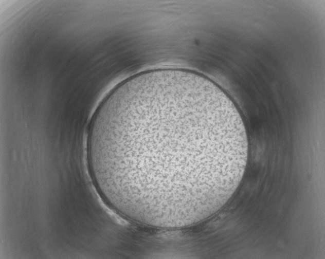 X0000067001006200604142254