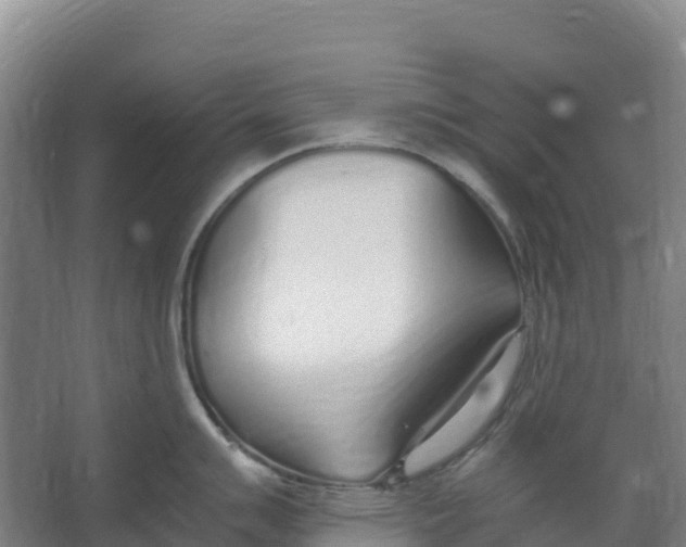 X0000067001007200604142254