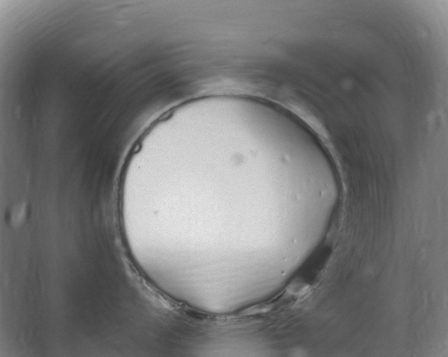 X0000067001008200604142254