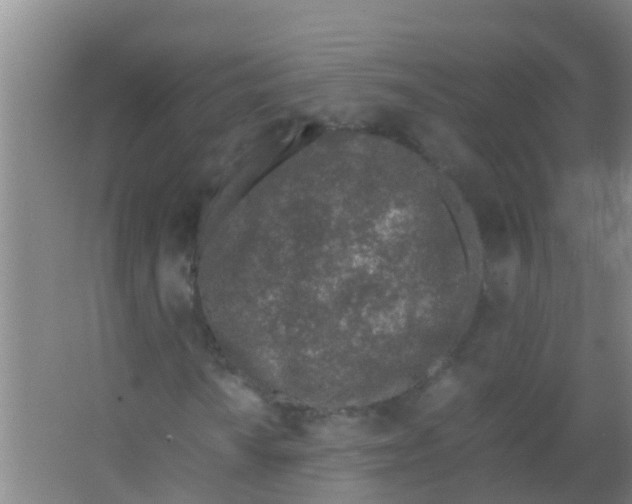 X0000067001010200604142253