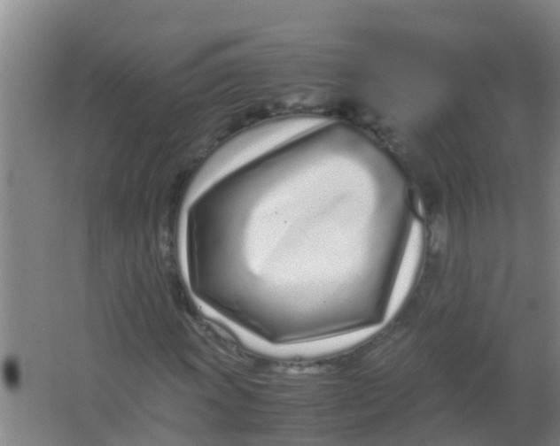 X0000067001011200604142253