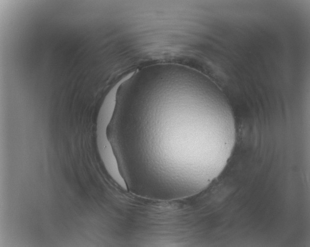 X0000067001012200604142253