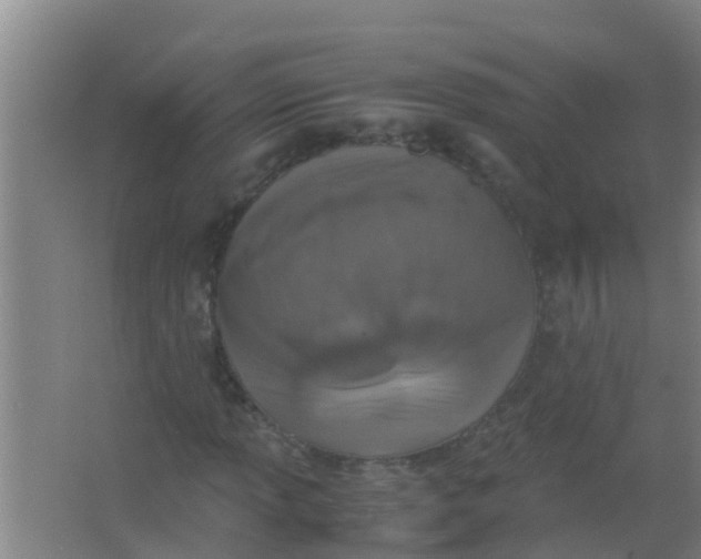 X0000067001013200604142253