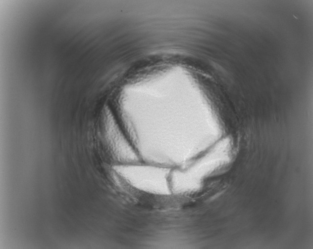 X0000067001014200604142253