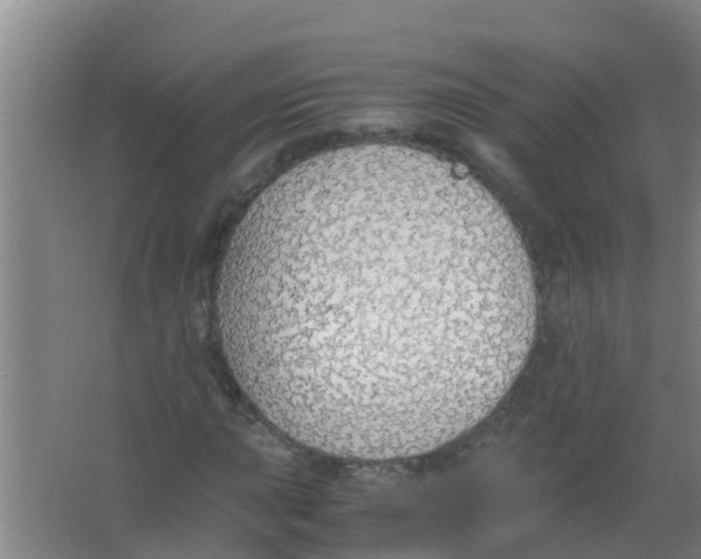 X0000067001015200604142253