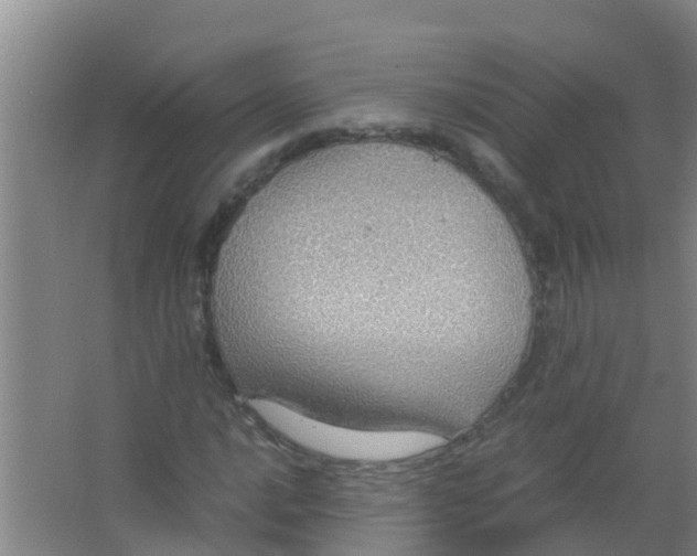 X0000067001016200604142253