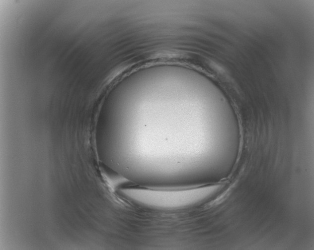 X0000067001017200604142253