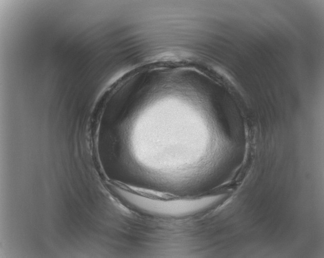 X0000067001018200604142253