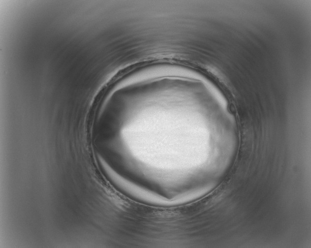 X0000067001023200604142253