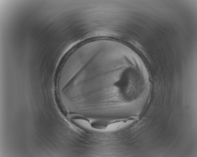 X0000067001024200604142253