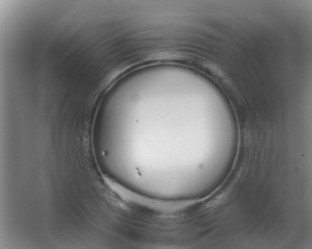 X0000067001025200604142253