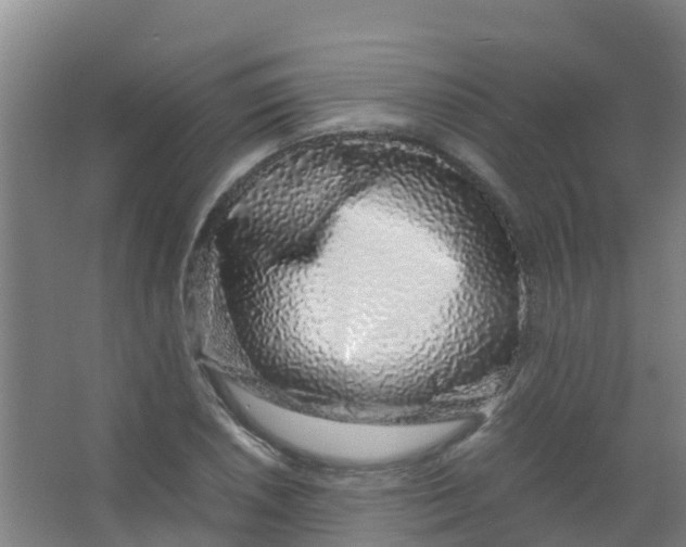 X0000067001026200604142253