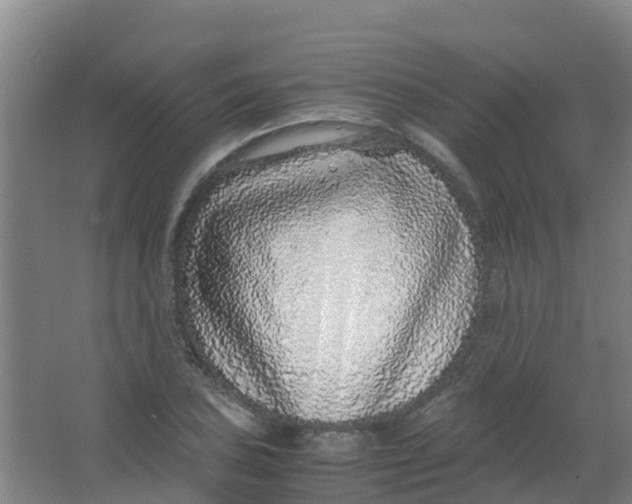 X0000067001027200604142253