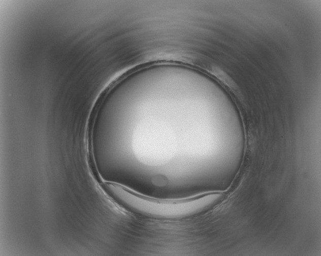 X0000067001028200604142253