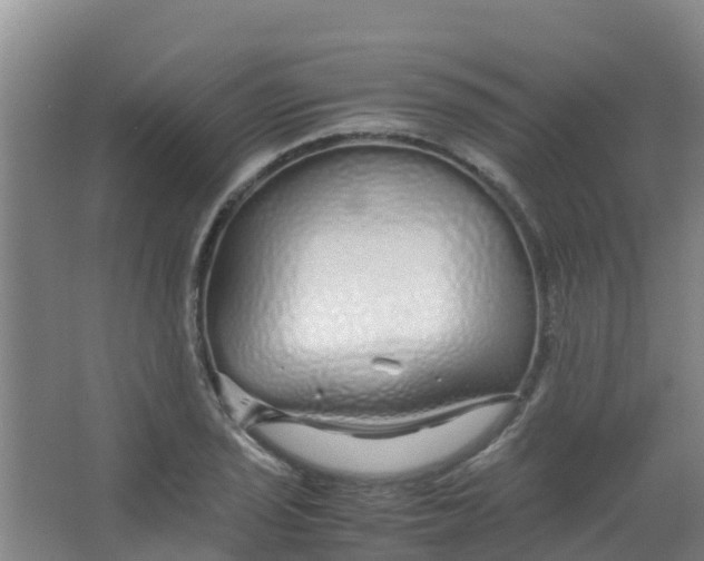 X0000067001029200604142253