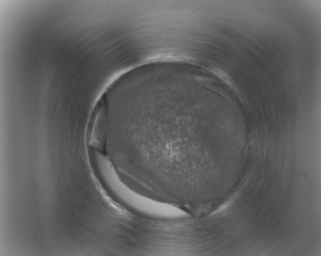 X0000067001030200604142253