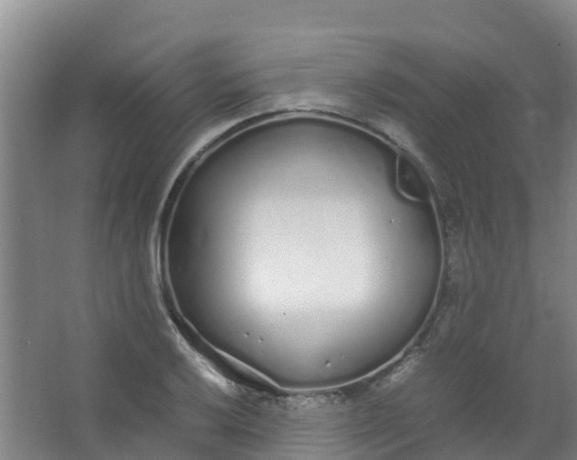 X0000067001032200604142253