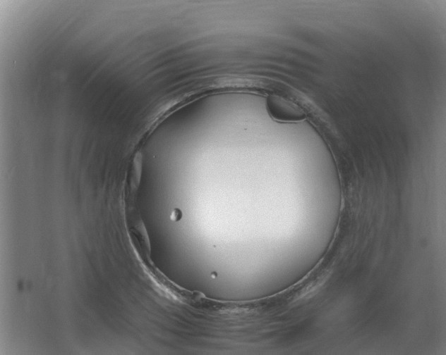 X0000067001033200604142253