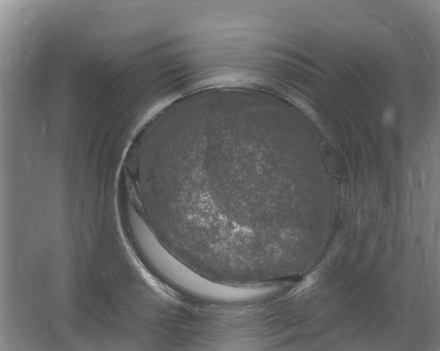 X0000067001034200604142254