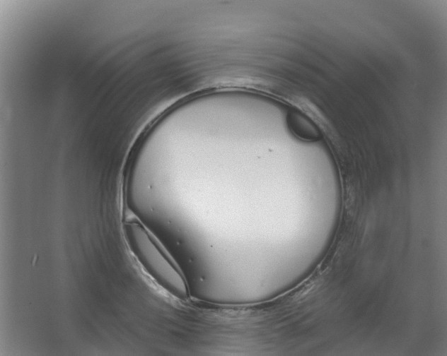 X0000067001036200604142254