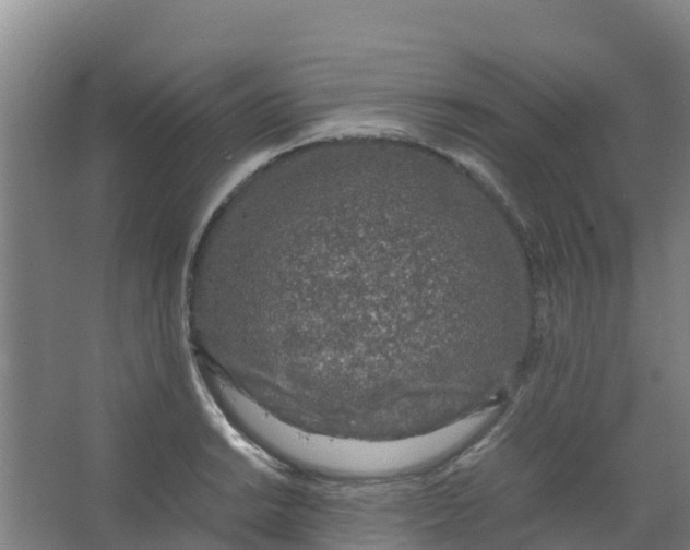 X0000067001038200604142254