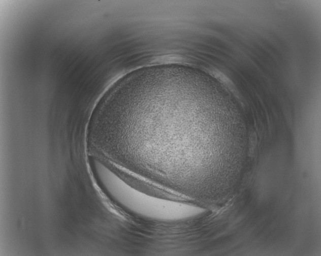 X0000067001039200604142254