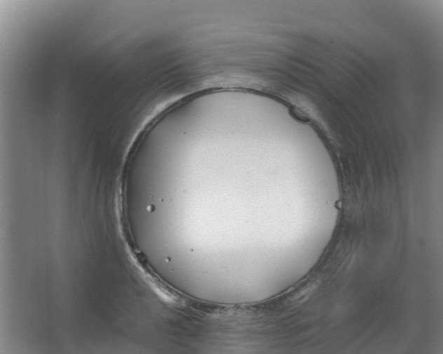 X0000067001040200604142254