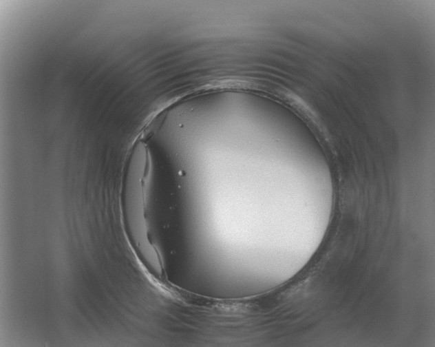 X0000067001041200604142254