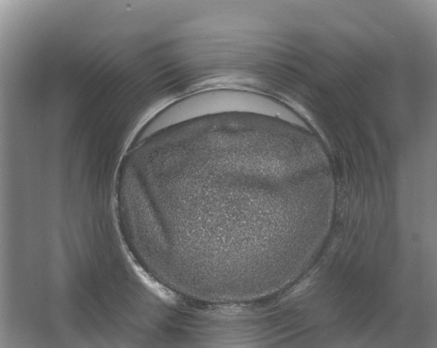 X0000067001042200604142254