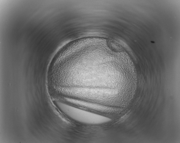 X0000067001043200604142254