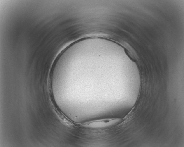 X0000067001044200604142254