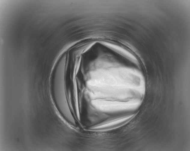 X0000067001045200604142254