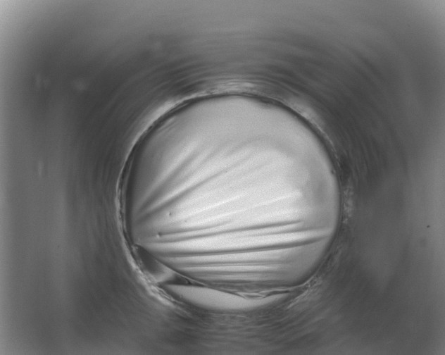 X0000067001047200604142254