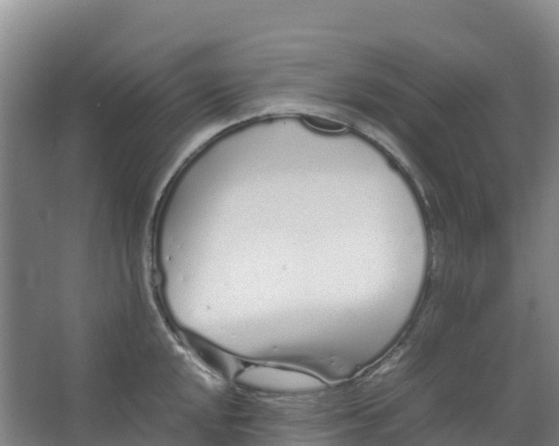 X0000067001048200604142254