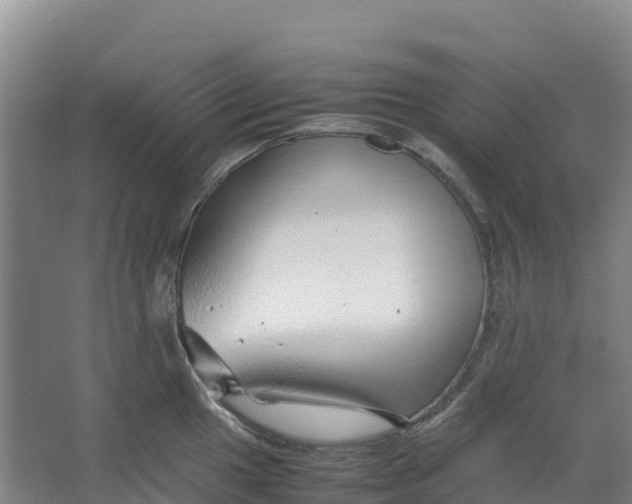 X0000067001049200604142254