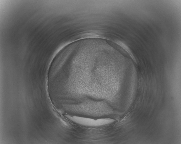 X0000067001051200604142254