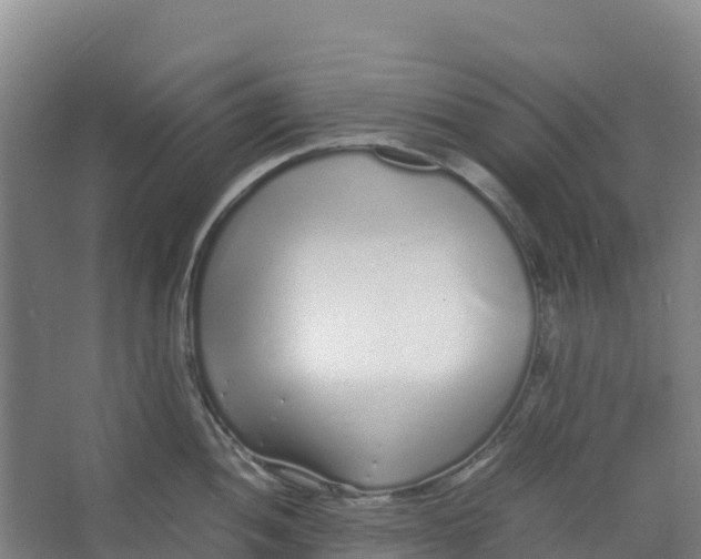 X0000067001052200604142254