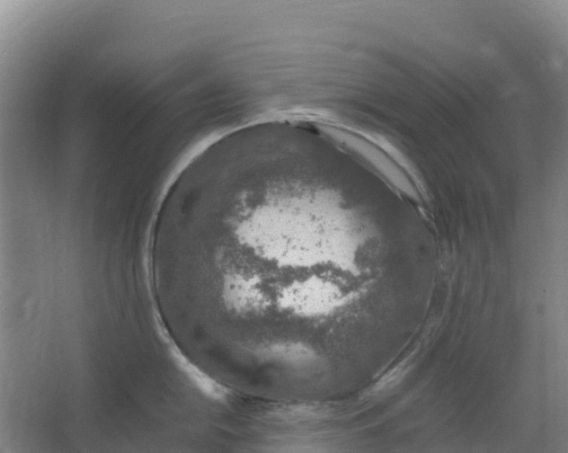 X0000067001054200604142254